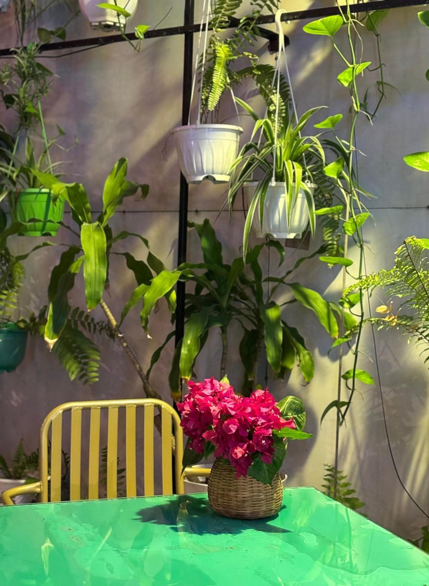 Pearl Beach Homestay 호이안 외부 사진